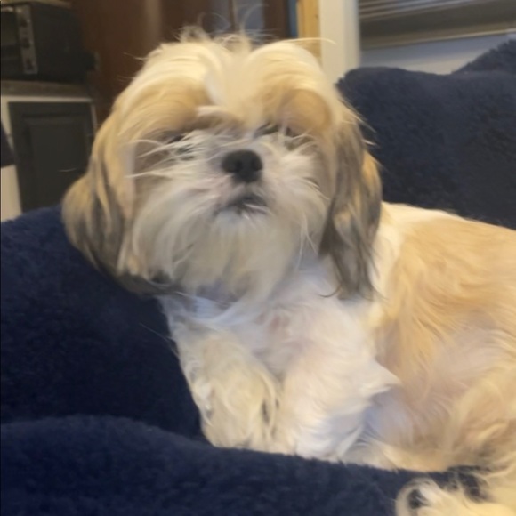 madisonmanjarre